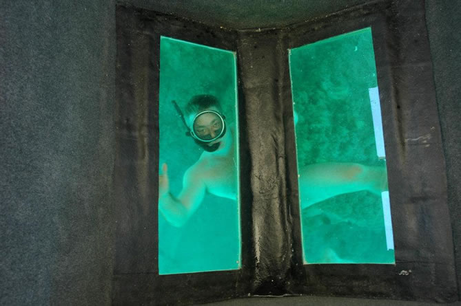 Passengers observing marine life through the glass-bottom boat windows